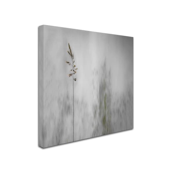 Gilbert Claes 'Blade Of Grass' Canvas Art,14x14